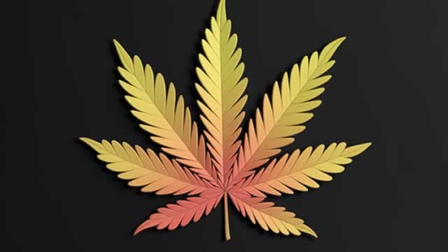 Dan Ahrens on Pot Stock Outlook & MSOS ETF After Reclassification