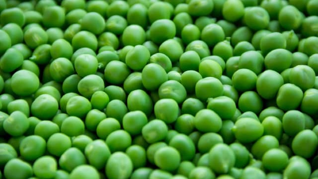 2 Under-the-Radar Dividend Kings to Buy in Bunches