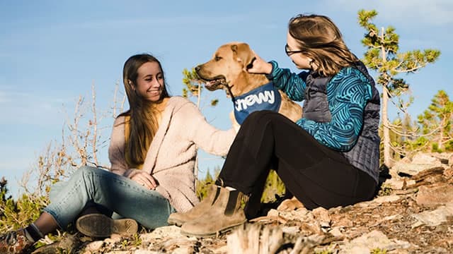 Could Buying Chewy (CHWY) Stock Today Set You Up for Life?