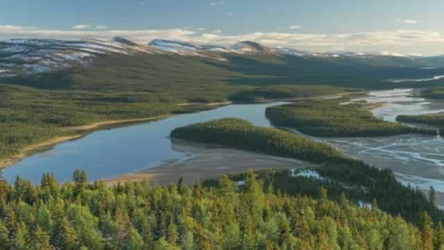 Canada Retail Sales Rebound in November, Marking Positive Start to Holiday Season