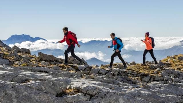 Academy Sports and Outdoors (ASO) Q3 Earnings: How Key Metrics Compare to Wall Street Estimates