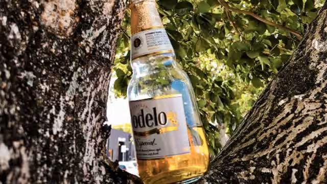 Constellation Brands Refines Beer Playbook, Reaffirms Full-Year Outlook