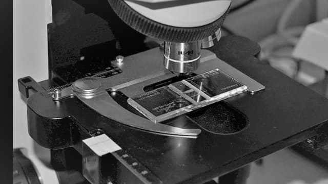 Why Is Idex (IEX) Up 2% Since Last Earnings Report?