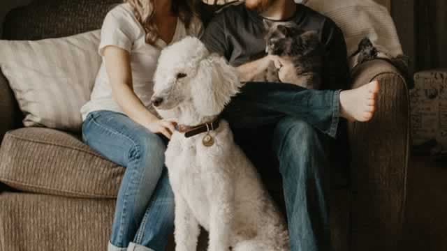 Should Value Investors Buy Central Garden & Pet (CENTA) Stock?