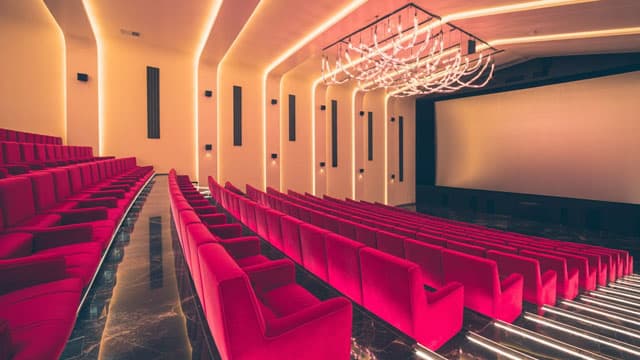 IMAX says CEO taking medical leave