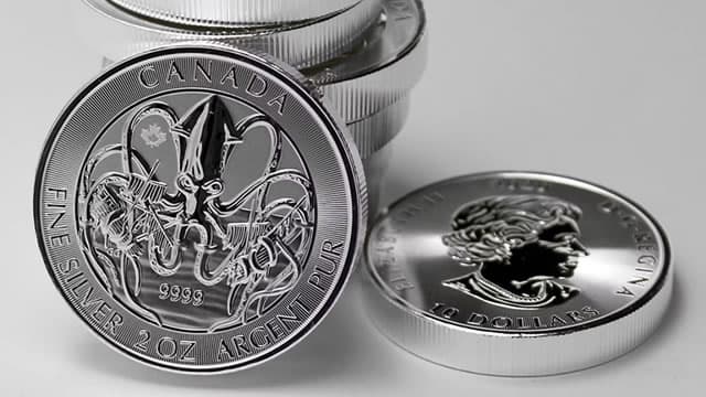 Retail investors steer record amount cash into silver, creating crowded trade