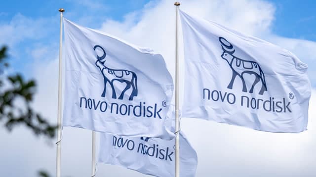 Novo Nordisk (NVO) Registers a Bigger Fall Than the Market: Important Facts to Note