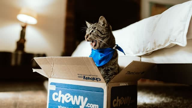 Is It Worth Investing in Chewy (CHWY) Based on Wall Street's Bullish Views?
