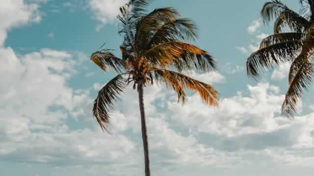 Travel stocks are among the biggest gainers as Trump teases Iran talks