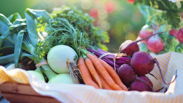 Fresh Del Monte: Healthy Food, Strong Fundamentals And Growing Dividends Support Their Re-Rating