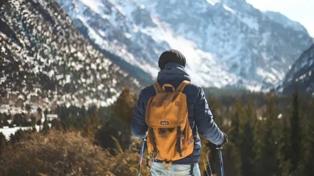 Here's My Top Dividend Stock to Buy in January