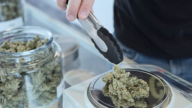 Why Canopy Growth Corporation (CGC) Dipped More Than Broader Market Today