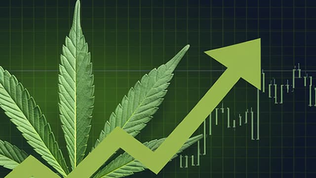 Canopy Growth Corporation (CGC) is Attracting Investor Attention: Here is What You Should Know