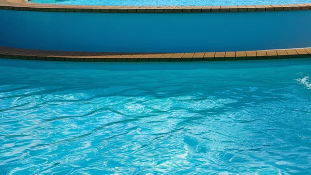 Leslie's Stock Plunges Following Chapter 11 Bankruptcy Reports