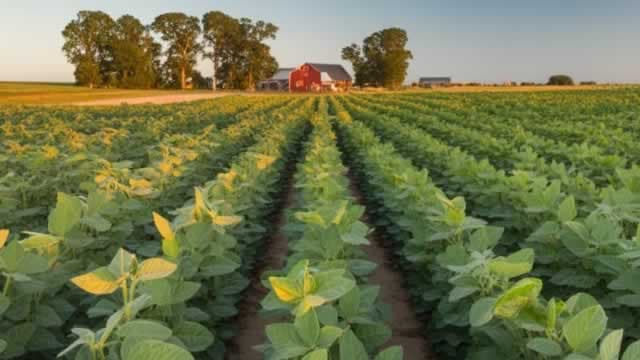 Soybeans Surge as Trump Stokes Hope of More China Purchases