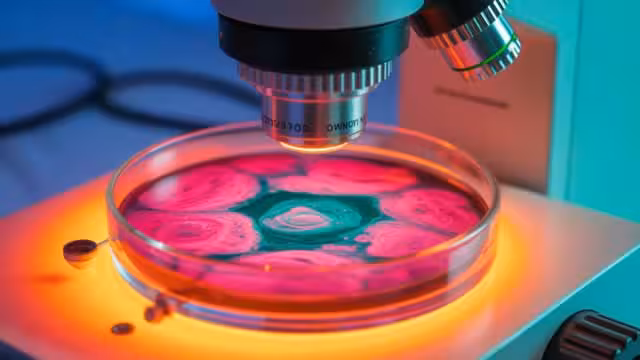 2 Stocks Up Over 600% in the Past 3 Years With More Room to Run