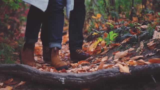 Designer Brands Stock Gains 49% After Posting Q3 Earnings Beat