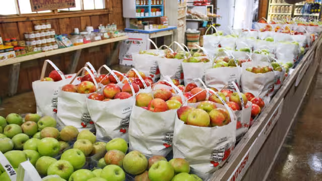 5 Low-Leverage Stocks to Bet on as Investors Shy Away From Technology