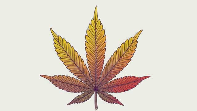 Why MJ Is No Longer A Sell