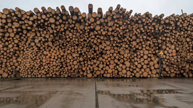 Why Is Boise Cascade (BCC) Down 12.3% Since Last Earnings Report?