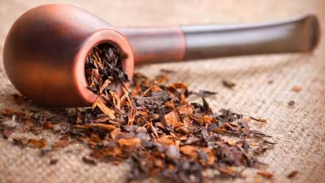 Ballast Dumps 34,000 Turning Point Brands Stock Worth $3.1 Million