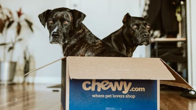 Should Investors Buy or Sell Chewy Stock at Its Current Valuation?