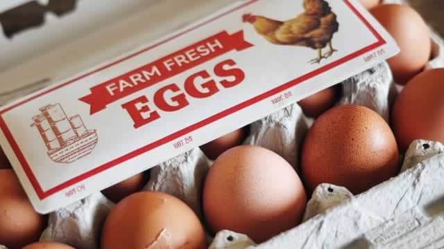 Vital Farms (VITL) Stock Falls Amid Market Uptick: What Investors Need to Know