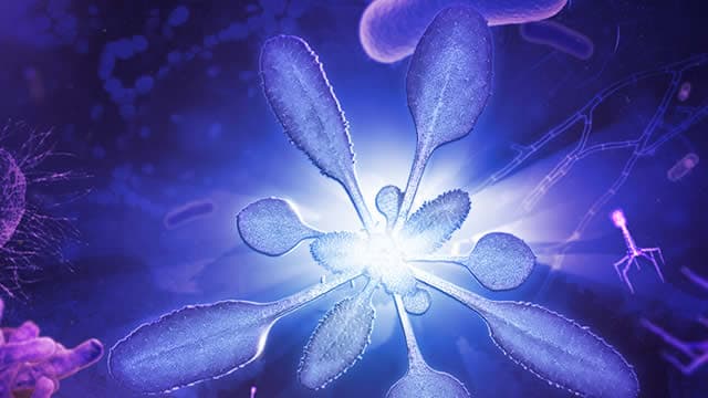 Wall Street Analysts See a 26.1% Upside in Vigil Neuroscience (VIGL): Can the Stock Really Move This High?