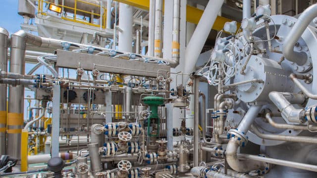 Graco: Long-Term Consistency Despite Near-Term Weakness