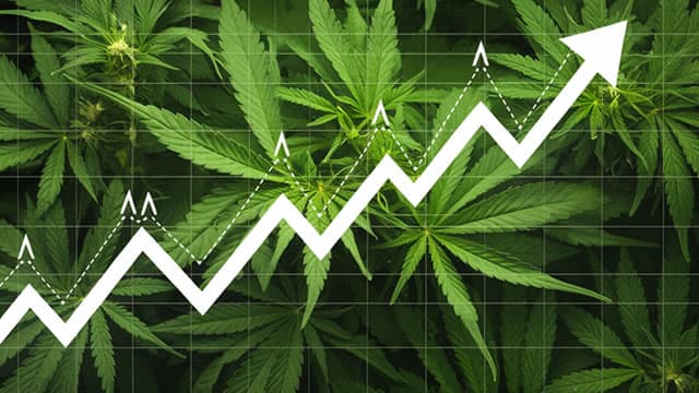 Cannabis stocks rally on Wall Street Journal report that Trump is weighing drug reclassification