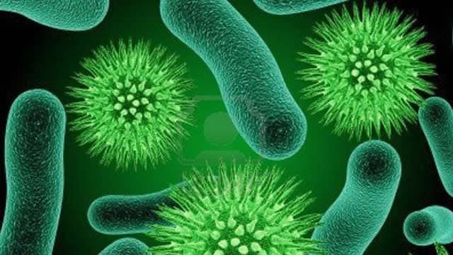 Avalo Therapeutics: Speculative Buy Ahead Of AVTX-009's LOTUS Results