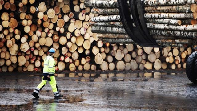 3 Wood Stocks Holding Ground in a Challenging Market