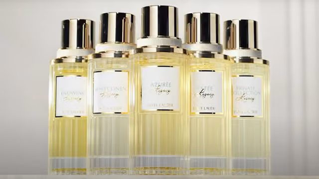 Can Estee Lauder's Profound Partnership Strengthen AI Visibility?