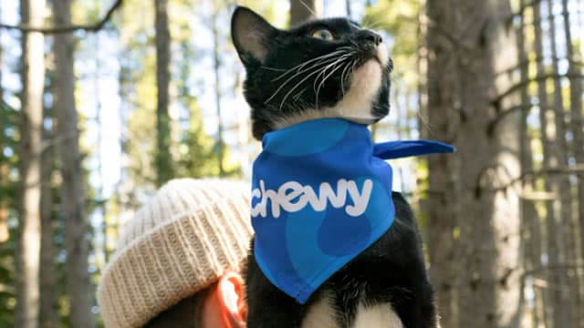 Chewy Bets Big on Pet Healthcare With Modern Animal Deal