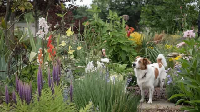 Are Investors Undervaluing Central Garden & Pet (CENT) Right Now?