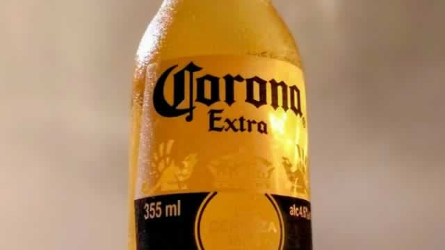 Berkshire Bet Constellation Cuts Guidance: Why Shares Rose 8%