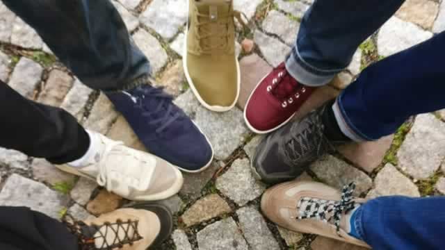 Deckers (DECK) Declines More Than Market: Some Information for Investors