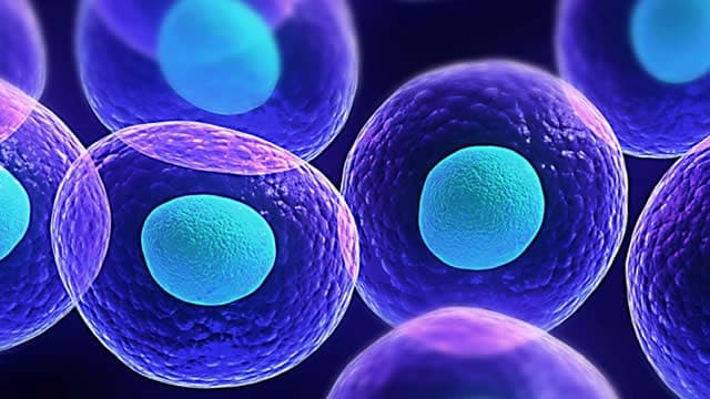 3 Biotech Catalysts Present Major Opportunity