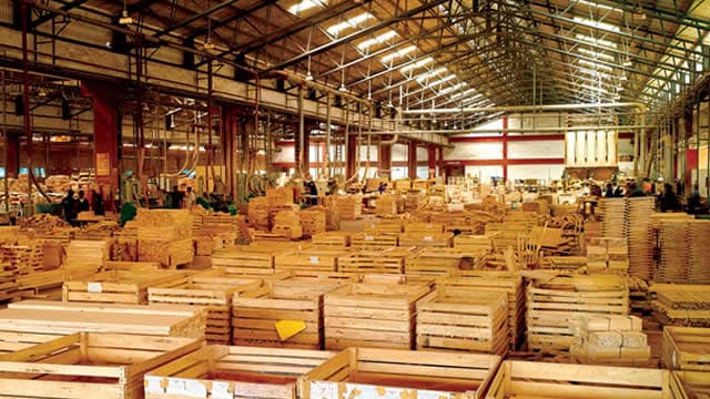 2 Wood Stocks in Focus Despite a Tough Industry Climate