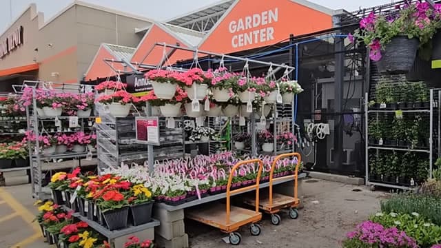 Is Home Depot (HD) a Buy as Wall Street Analysts Look Optimistic?