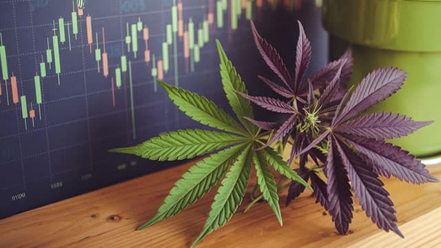 Canopy Growth Is Restating Two Years of Financials Before June 15 Earnings -- Here's What CGC Investors Need to Know Right Now