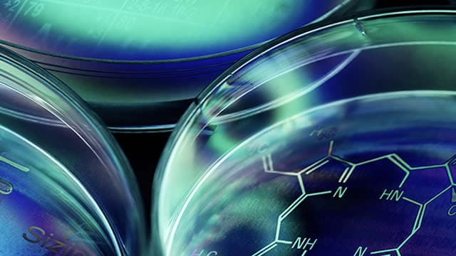 Puma Biotechnology: Step By Step In Making A Transition