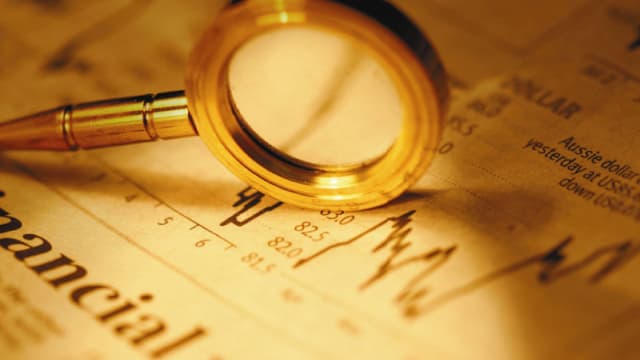 EVV: Multi-Sector Fixed-Income Fund Providing Monthly Distributions