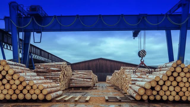 Home-Building Is Sputtering, but Lumber Prices Haven't Been So High in Years
