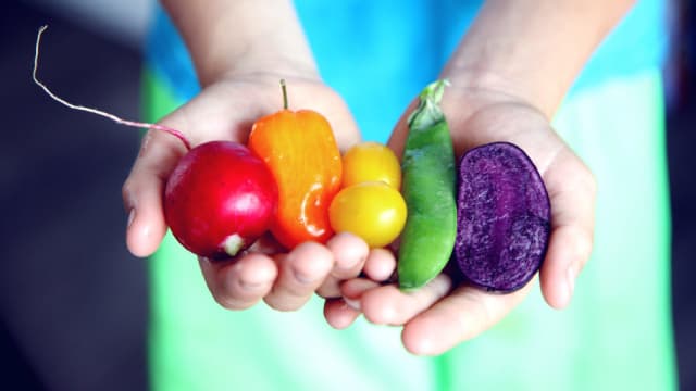 HF FOODS GROUP INC. (HFFG) Misses Q3 Earnings Estimates