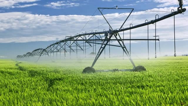 Best Growth Stocks to Buy for August 21st