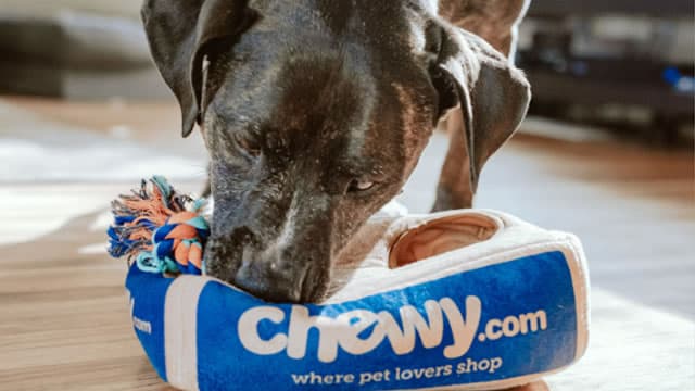 Here's Why Chewy (CHWY) is a Strong Growth Stock