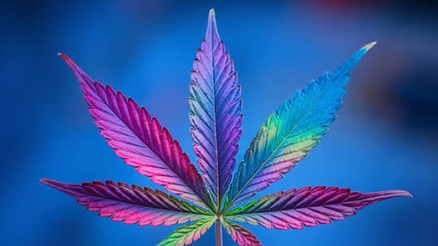 The Best Way Marijuana Stock Investing Can Work For You