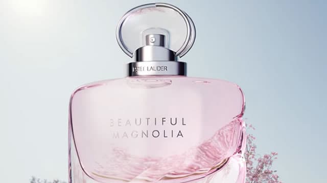 How leaks, demands and a phone call derailed Estée Lauder's deal to create a $40B luxe giant