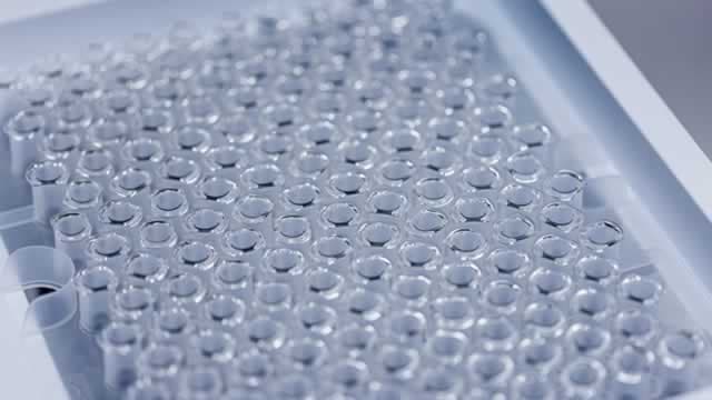 Novo Nordisk CEO: This is where science meets speed and scale